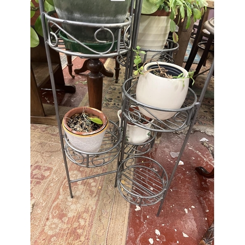 645 - Collection of plants in metal plant stand