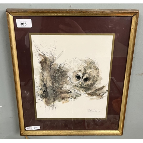 305 - Watercolour of an Owl - Approx IS: 21cm x 26cm