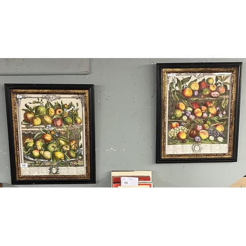 312 - Pair of framed botanical prints