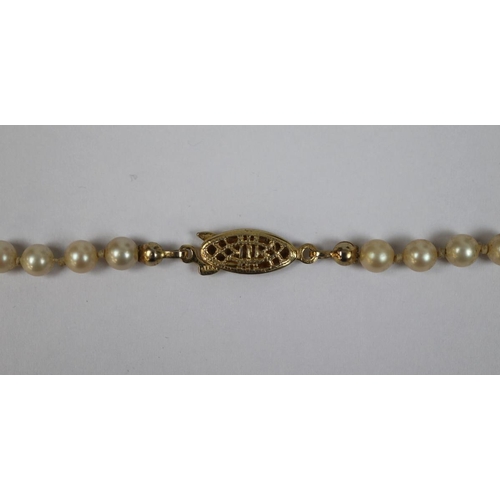 19 - Silver clasped pearl necklace