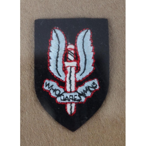 343 - 2 service displays - Parachute Regiment and Special Air Service