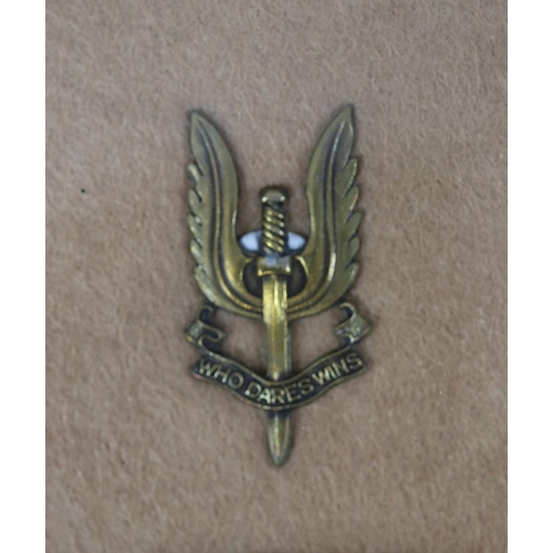 343 - 2 service displays - Parachute Regiment and Special Air Service