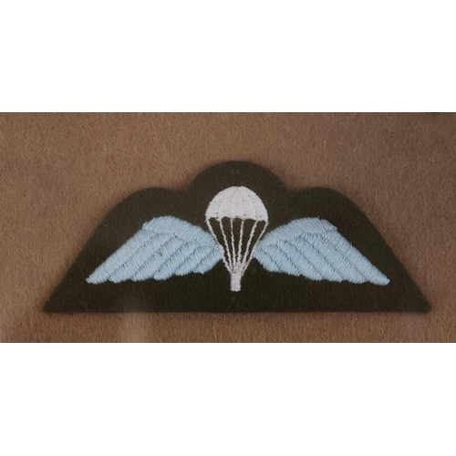 343 - 2 service displays - Parachute Regiment and Special Air Service