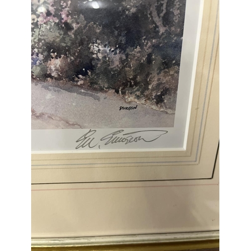 421 - Signed Sturgeon print