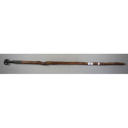 265 - Lakeland walking stick with hand wrought Rams head finial