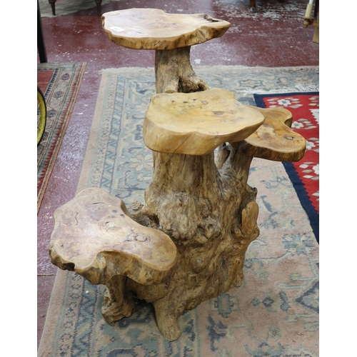Tree root display stand