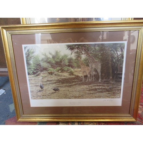 567 - Large collection of Alan Hunt L/E prints - African Wilderness The Sappi portfolio limited edition fr... 