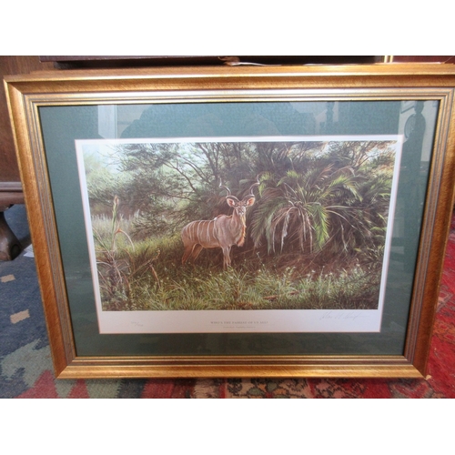 567 - Large collection of Alan Hunt L/E prints - African Wilderness The Sappi portfolio limited edition fr... 