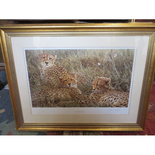 567 - Large collection of Alan Hunt L/E prints - African Wilderness The Sappi portfolio limited edition fr... 