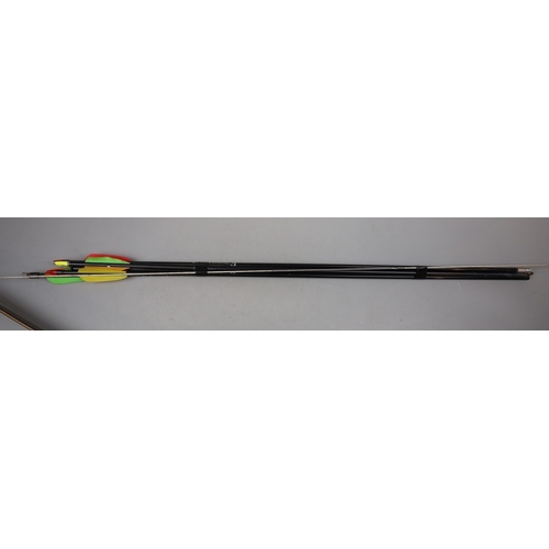 161 - Browning bow and arrows