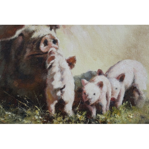 445 - Oil on canvas of a pig with piglets by Tony Forrest - IS 25cm x 29cm