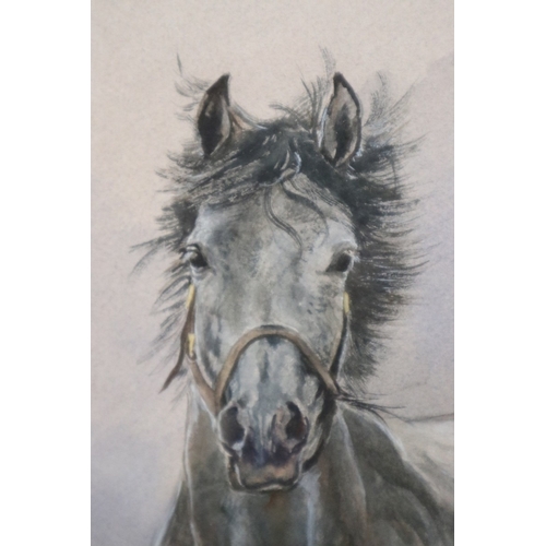 451 - Pair of equine themed watercolours by Jane Evans