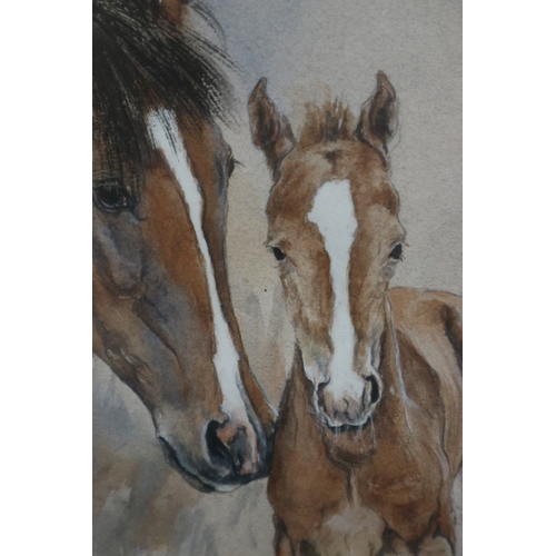 451 - Pair of equine themed watercolours by Jane Evans