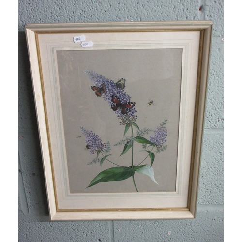 456 - Framed botanical watercolour together with 'October Evening' both by Alice Barnwell