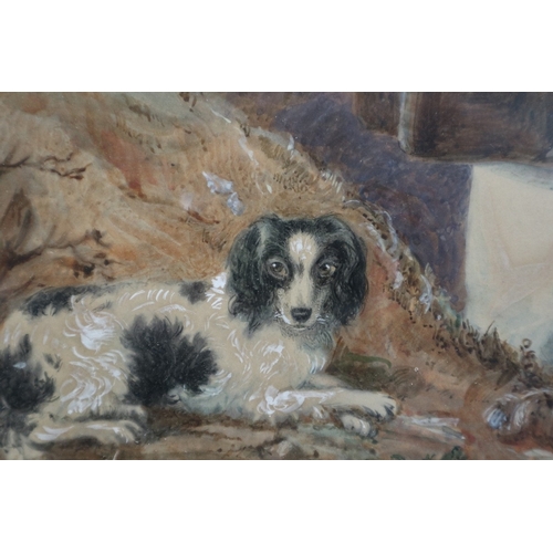 552 - Watercolour man & gundog portrait of Charles Hoggard info to reverse - IS 30cm x 40cm