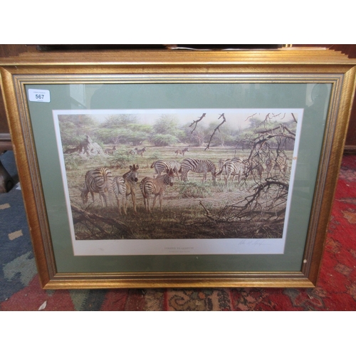 567 - Large collection of Alan Hunt L/E prints - African Wilderness The Sappi portfolio limited edition fr... 