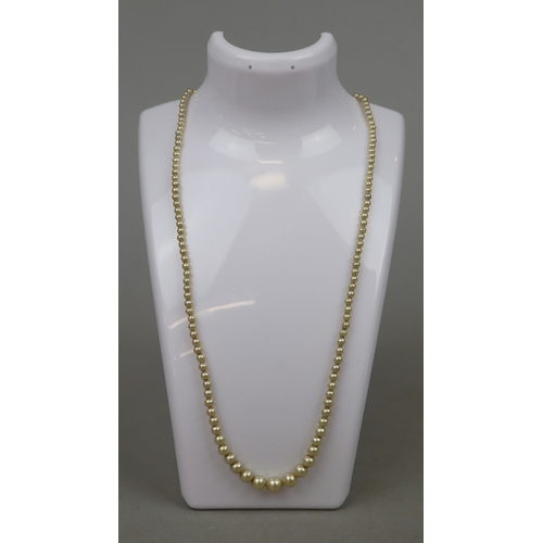 68 - Cased pearls with gold clasp