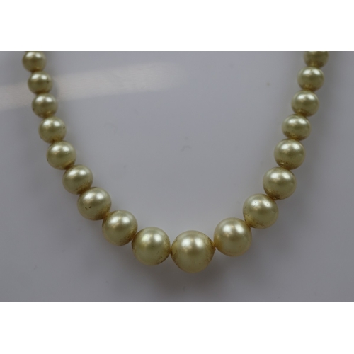 68 - Cased pearls with gold clasp