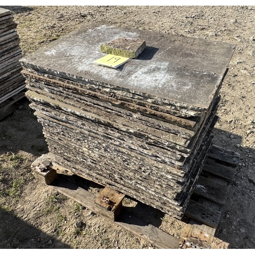 Lot 19        