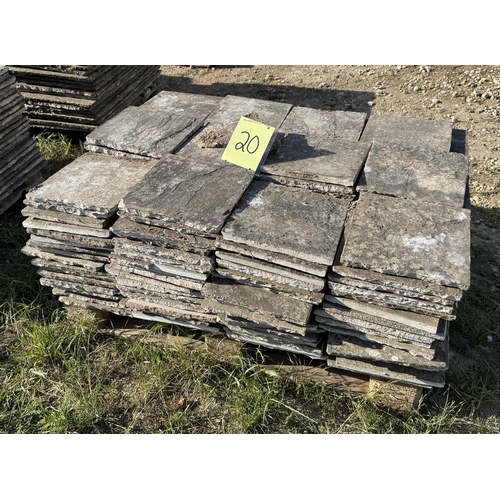 Lot 20        