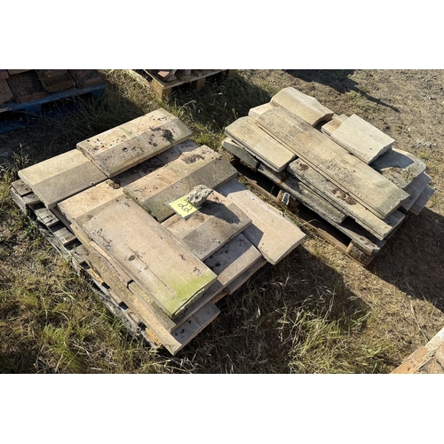 Lot 22        