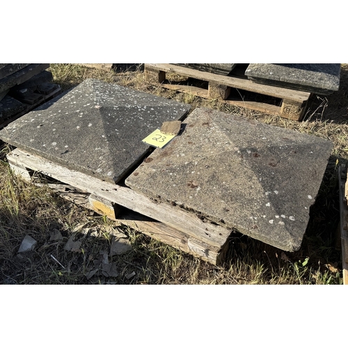 Lot 23        