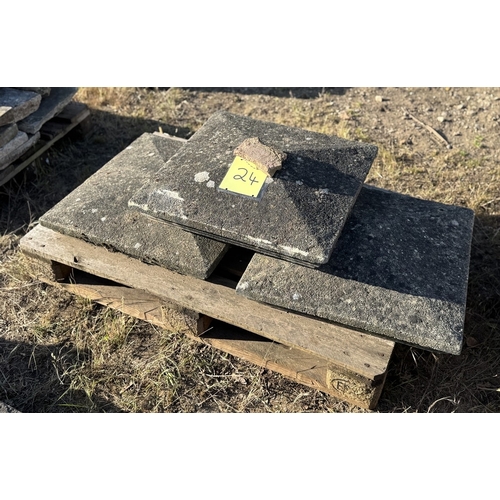 Lot 24        