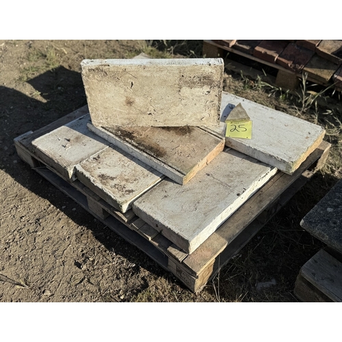 Lot 25        