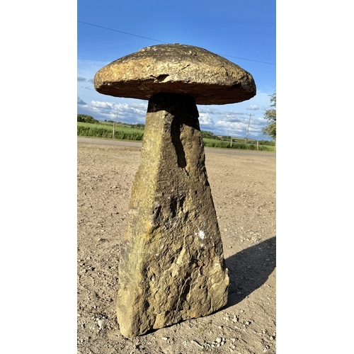 Lot 26        