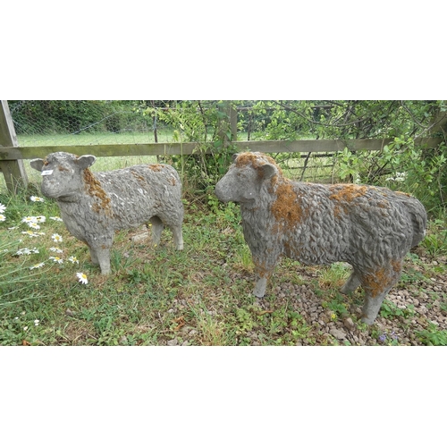 261 - Pair of stone sheep statues - Approx height: 53cm