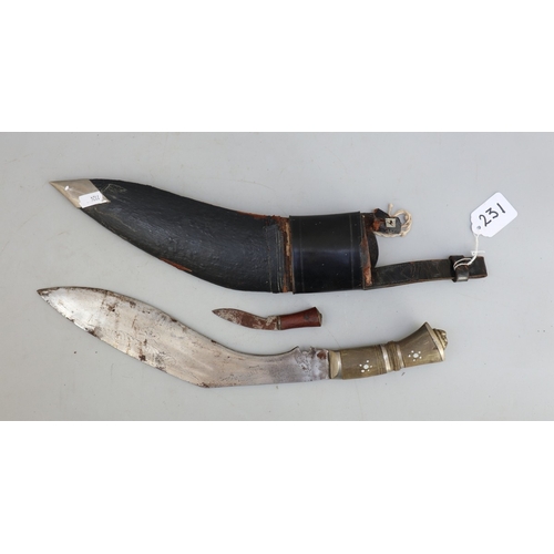 Lot 231       