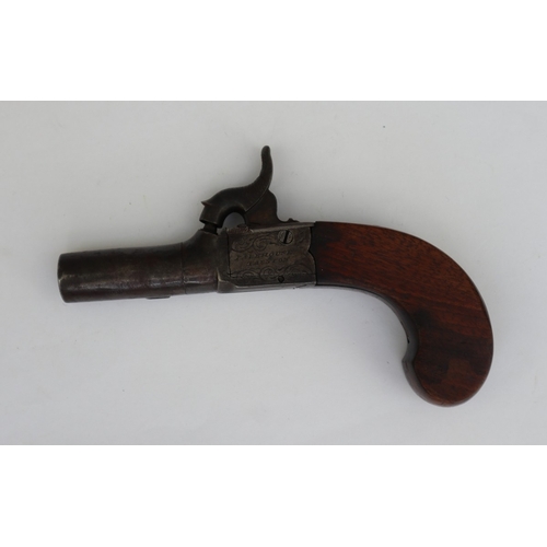 131 - 50 bore percussion pocket pistol, 1.5
