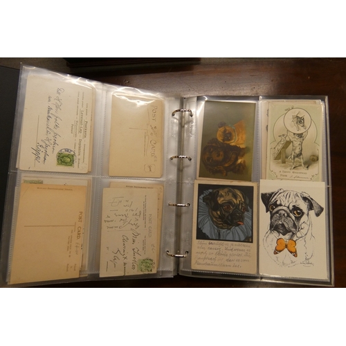 Postcard album of Pug themed postcards