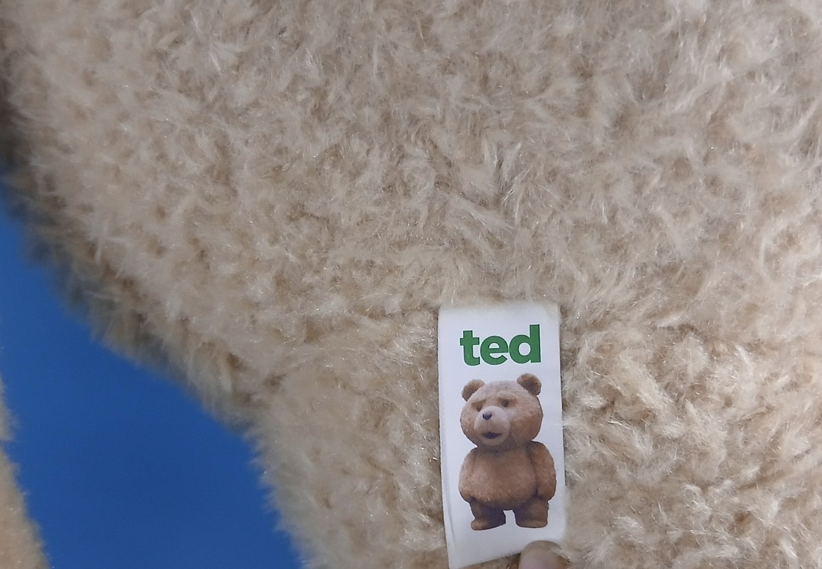 Talking Ted character bear