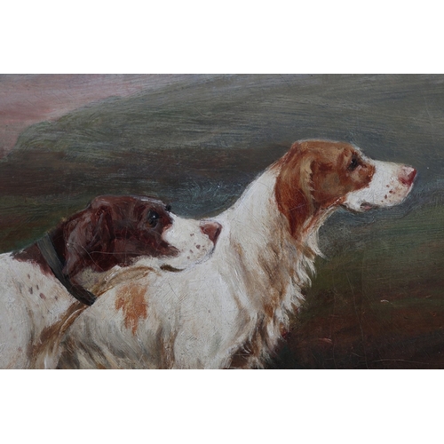 464 - Oil on canvas of Pointer Dogs by E S England - Approx IS 90cm x 60cm