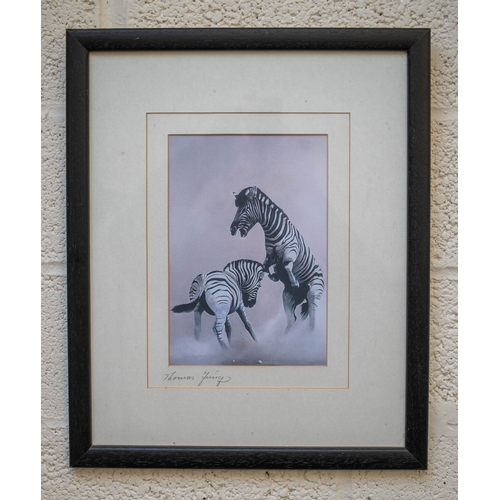 360 - Signed Thomas Jung print of Zebras