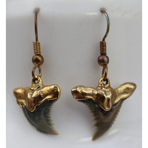 68 - Pair of gold mounted sharks tooth drop earrings