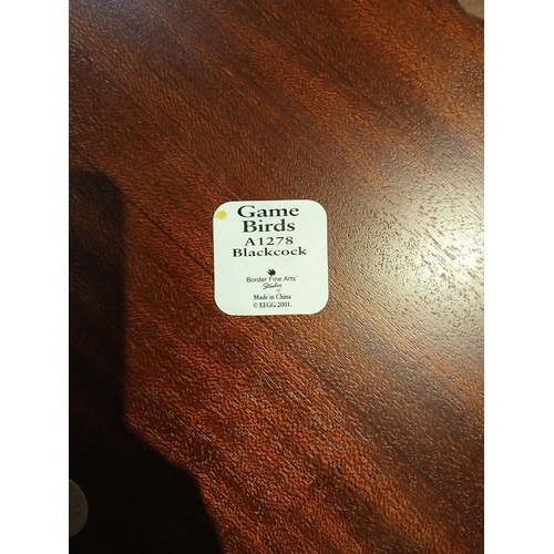 242 - Border Fine Arts - A1278 Black Cock Capercaillie - Approx H: 22cm
