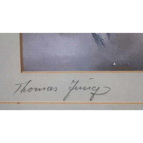 360 - Signed Thomas Jung print of Zebras
