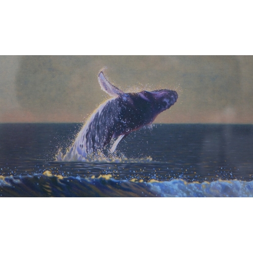 397 - Signed limited edition of a humpback whale 316/750 - Lanai Backdrop signed by - B.A.S