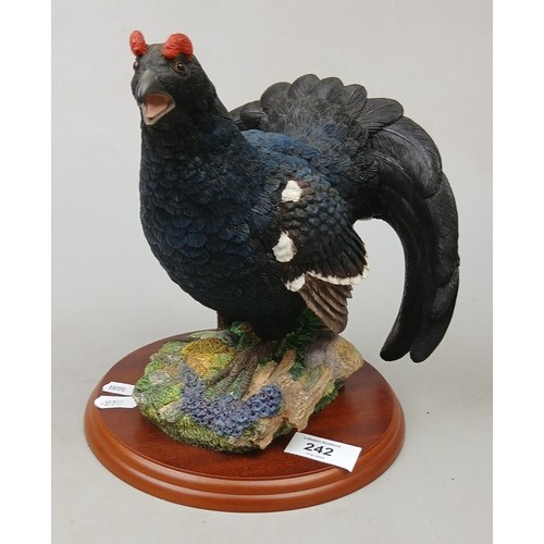 242 - Border Fine Arts - A1278 Black Cock Capercaillie - Approx H: 22cm