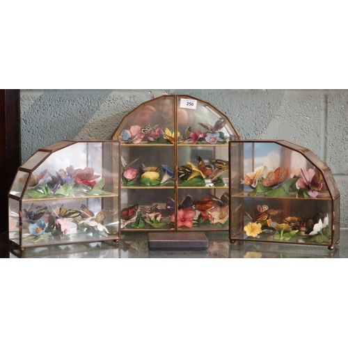 250 - Collectors cabinets together with butterflies and certificates