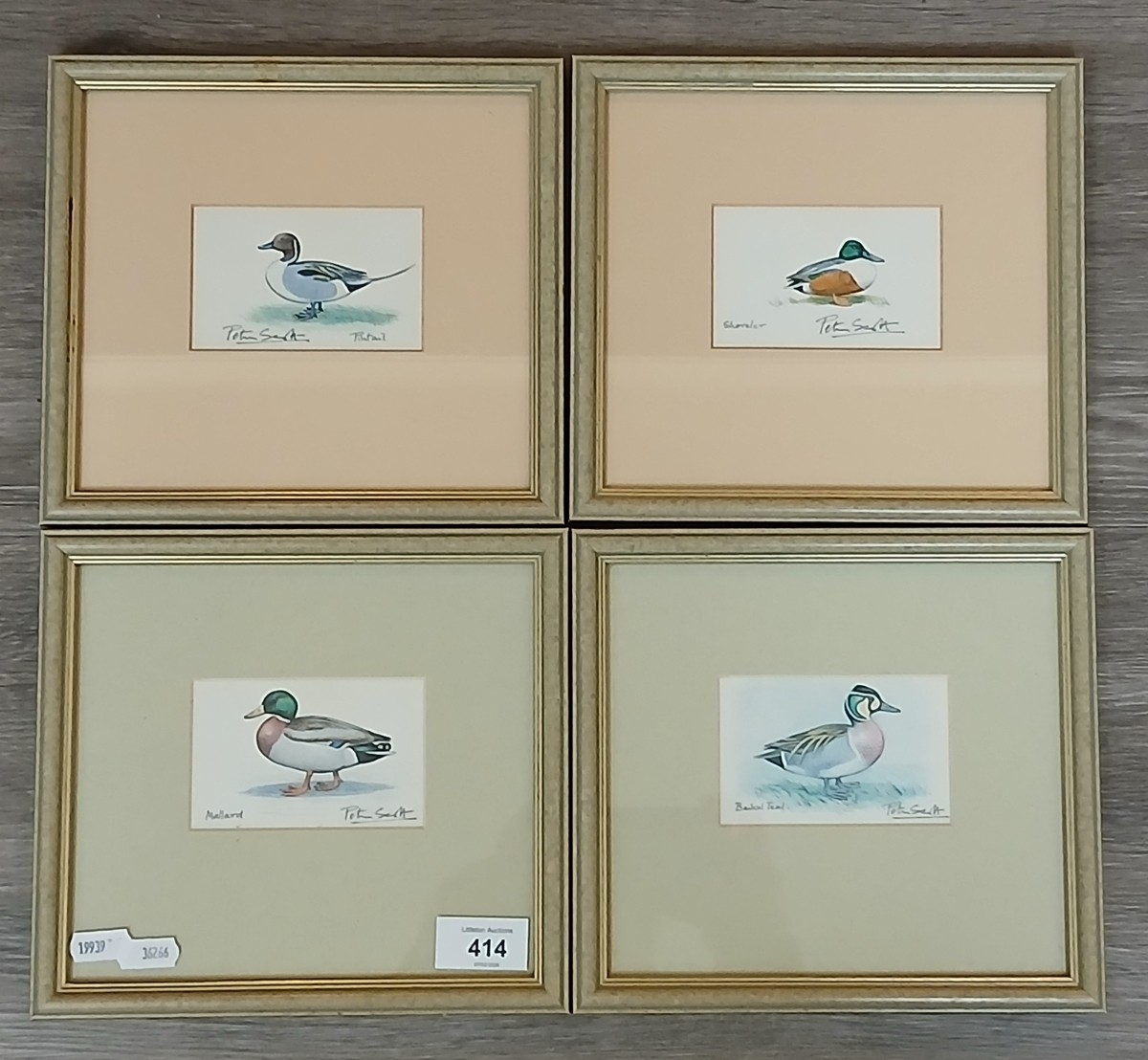 4 Peter Scott duck prints