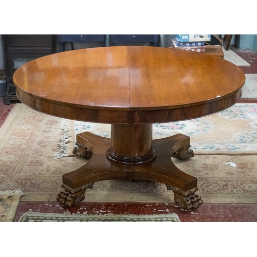 558 - Large circular Edwardian mahogany extending dining table together 4 extra leaves for the table. - Ap...