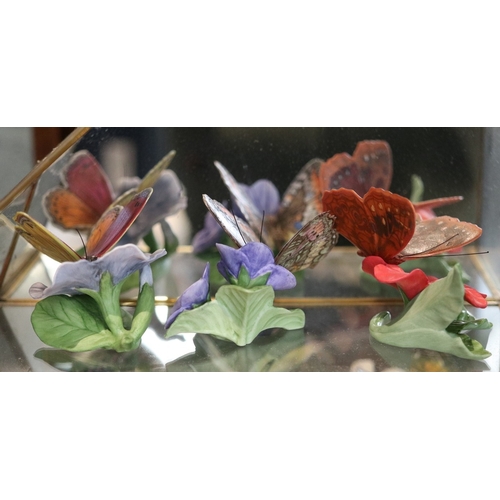 250 - Collectors cabinets together with butterflies and certificates