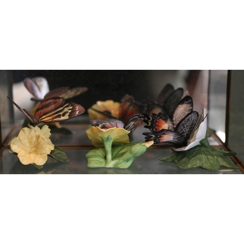 250 - Collectors cabinets together with butterflies and certificates