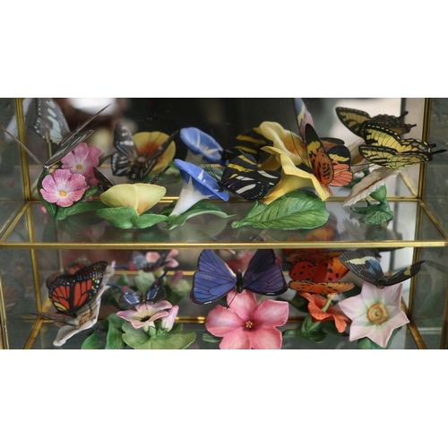 250 - Collectors cabinets together with butterflies and certificates