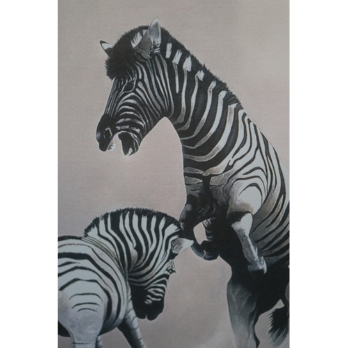 405 - Signed Thomas Jung print of Zebras