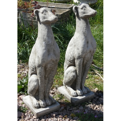 60 - Pair of stone greyhound statues - Approx H: 54cm