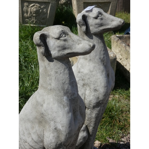 60 - Pair of stone greyhound statues - Approx H: 54cm